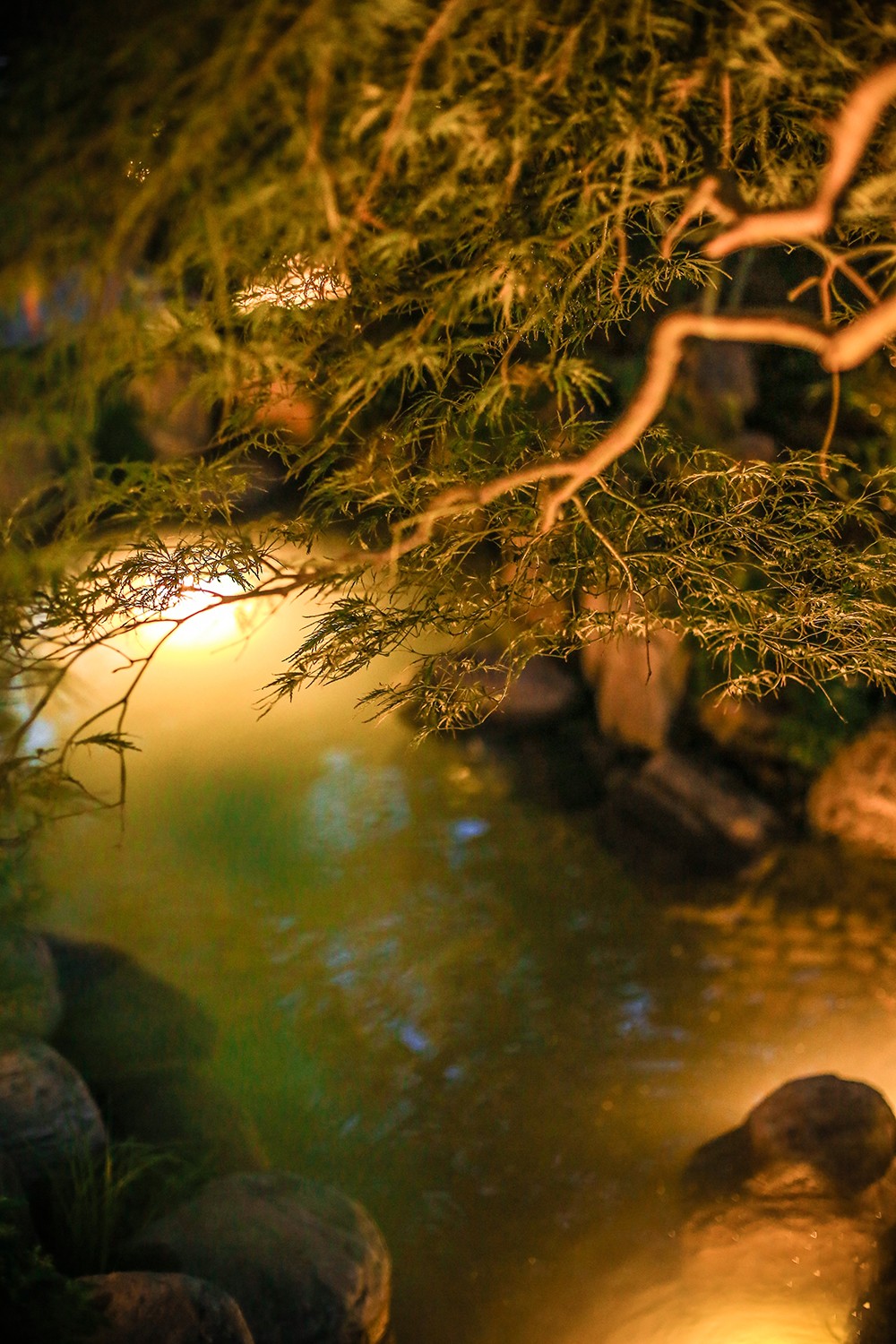 園林景觀(guān).jpg